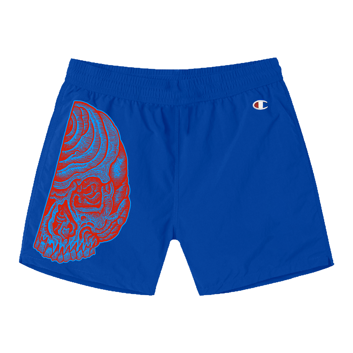 Champion top blue shorts